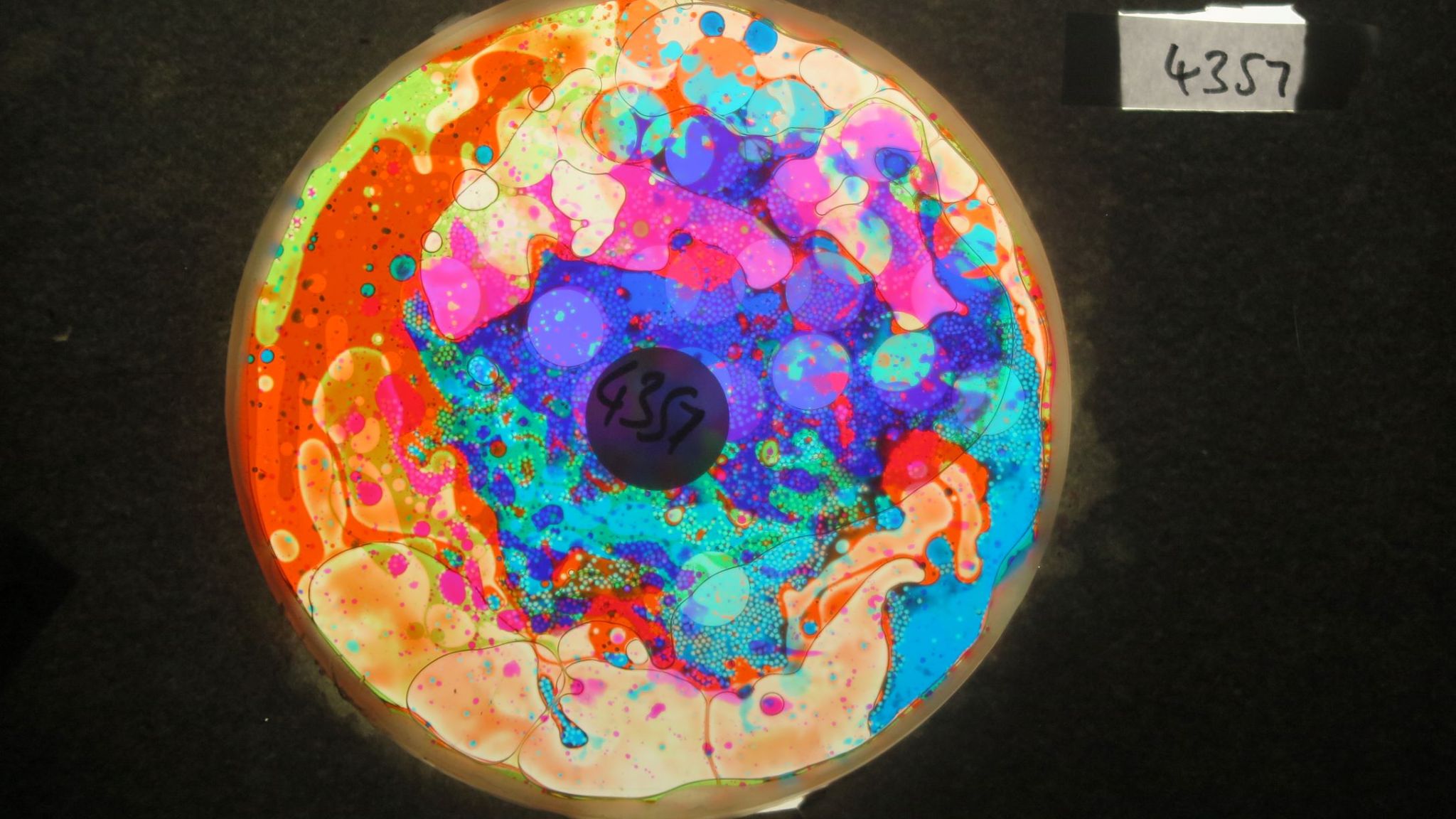 BV4357 bubble vision oil wheel